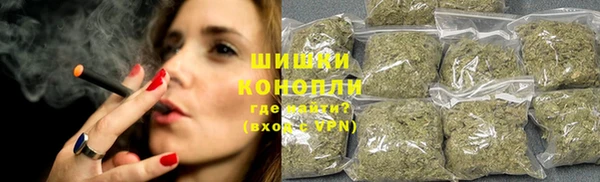 молекула духа Ельня