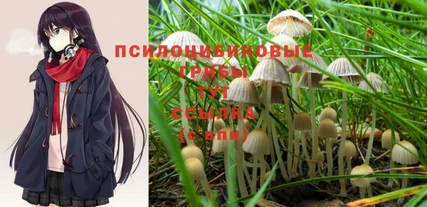 таблы Елизово