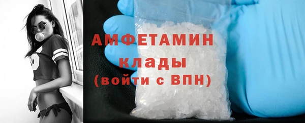 крисы Елабуга