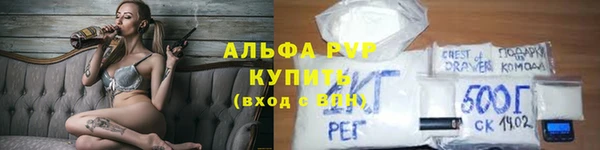 молекула духа Ельня