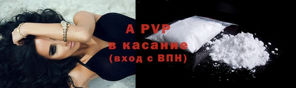 крисы Елабуга