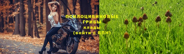 молекула духа Ельня