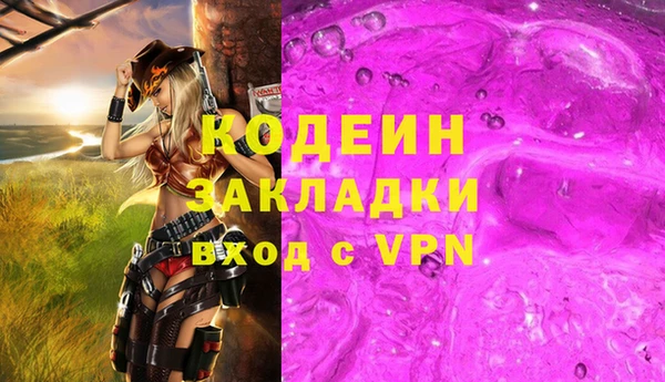 крисы Елабуга