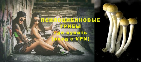 таблы Елизово