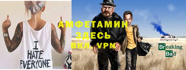 молекула духа Ельня