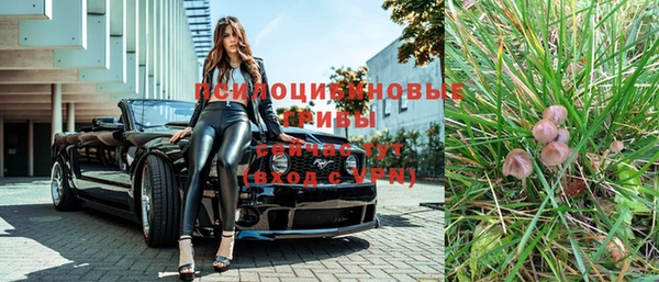 молекула духа Ельня
