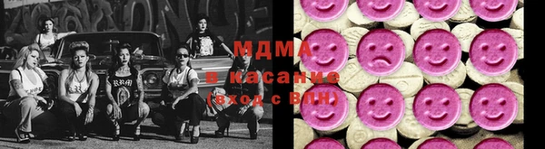 молекула духа Ельня
