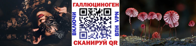 Купить где  Баксан  Галлюциногенные грибы Cubensis 